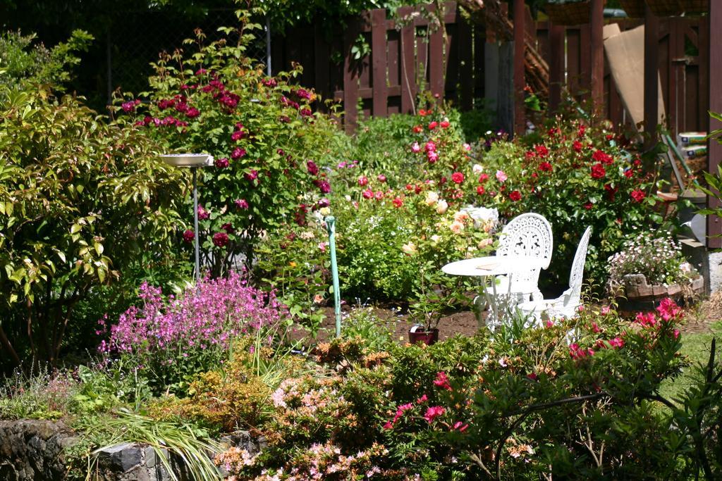 Castlewood Cottage Company Bay Ngoại thất bức ảnh